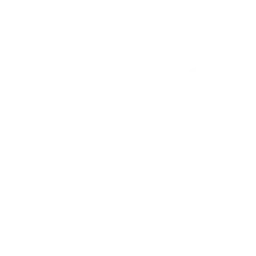 ZEPPELIN